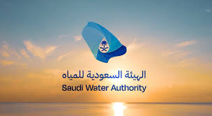 Establishing Enterprise Architecture Governance and Capability for the Saudi Water Sector